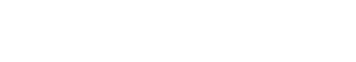 Innovative system for a unique U.S. shopping service